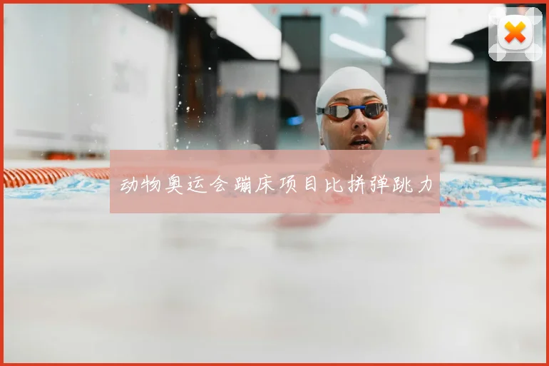 动物奥运会蹦床项目比拼弹跳力