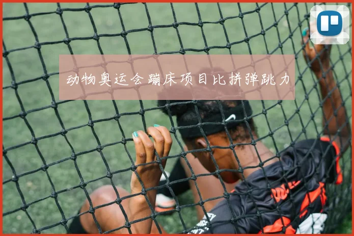动物奥运会蹦床项目比拼弹跳力