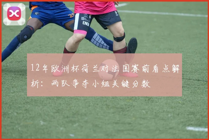 12年欧洲杯荷兰对法国赛前看点解析:两队争夺小组关键分数